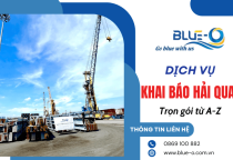 Dịch vụ khai báo hải quan chuyên nghiệp, hỗ trợ trọn gói từ A–Z